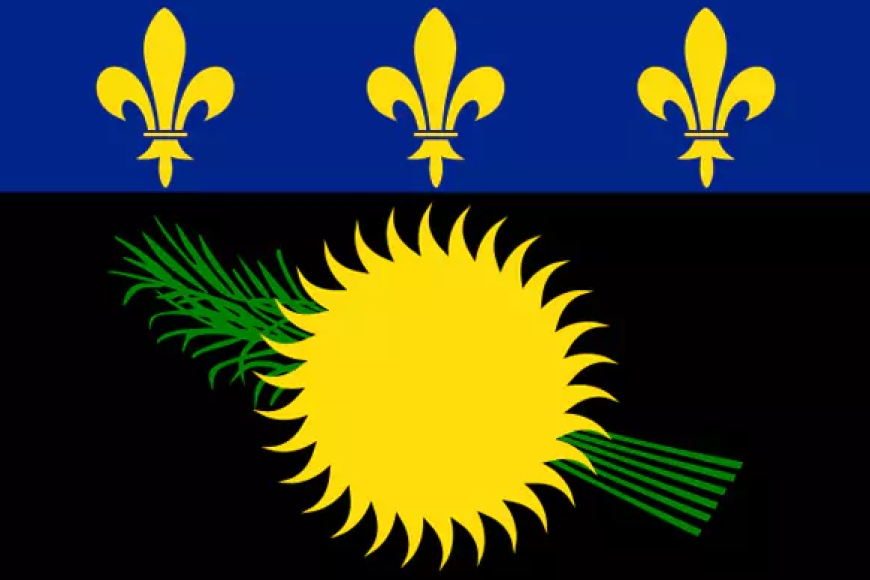 Which Country's Flag Is This?