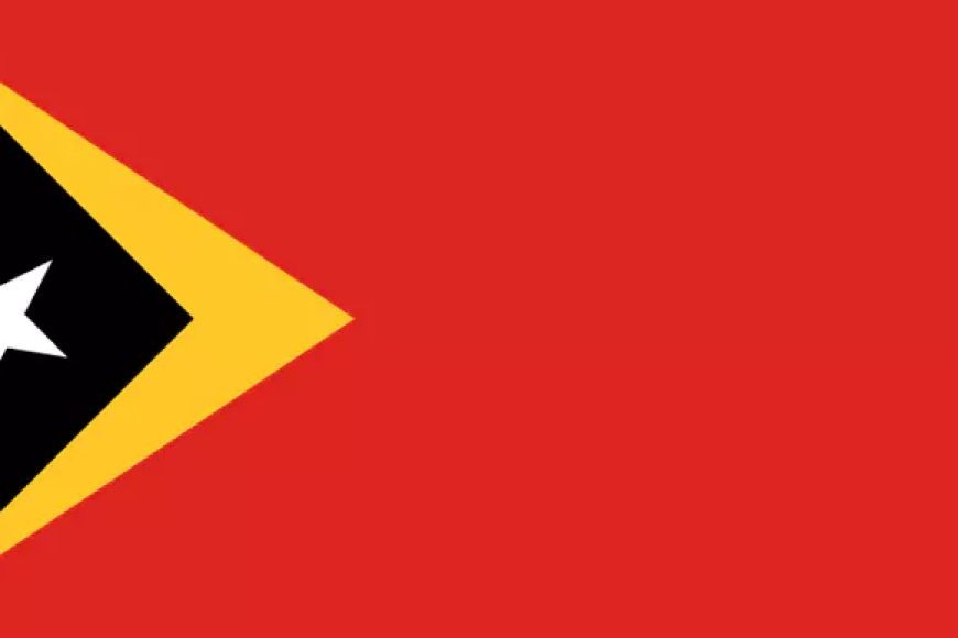 Which Country's Flag Is This?