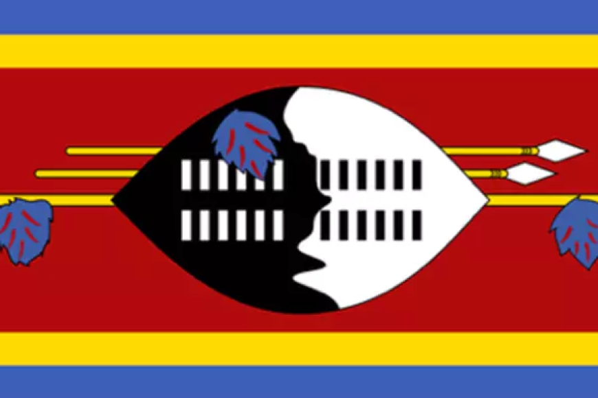 Which Country's Flag Is This?