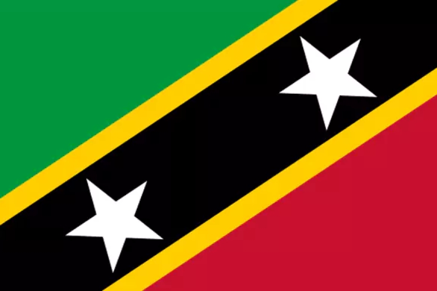 Which Country's Flag Is This?