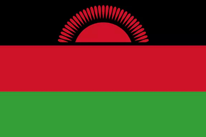 Which Country's Flag Is This?
