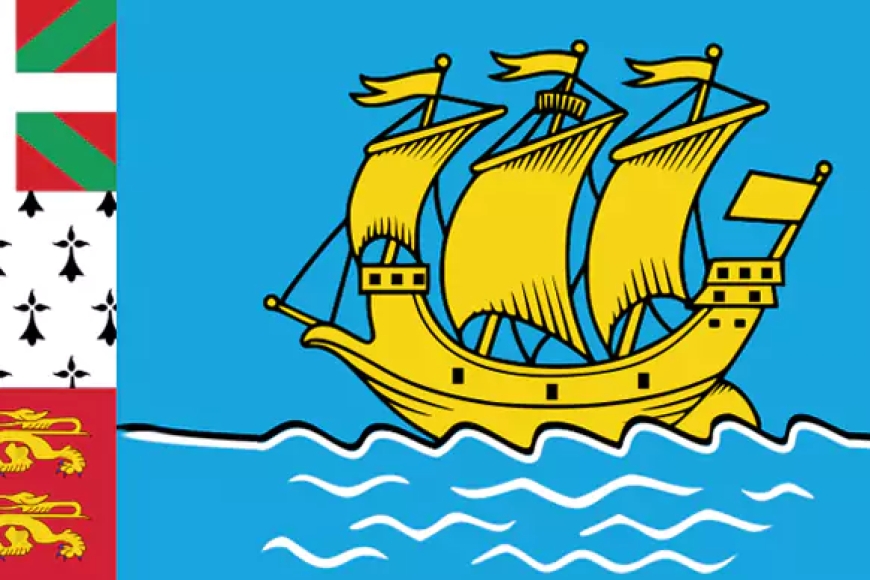 Which Country's Flag Is This?